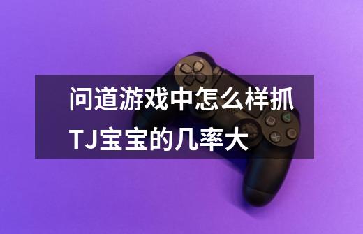 问道游戏中怎么样抓TJ宝宝的几率大-第1张-游戏信息-龙启网