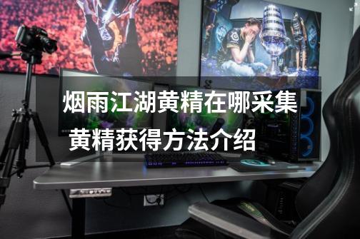 烟雨江湖黄精在哪采集 黄精获得方法介绍-第1张-游戏信息-龙启网