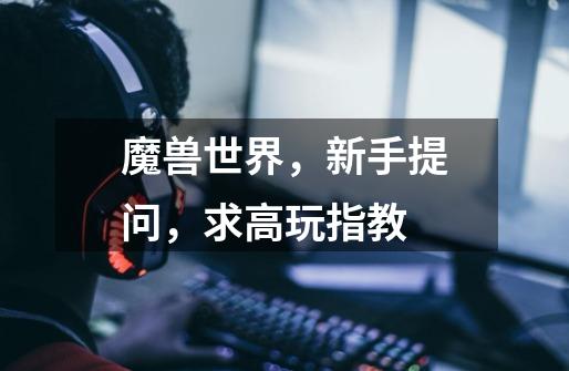 魔兽世界,新手提问,求高玩指教-第1张-游戏信息-龙启网