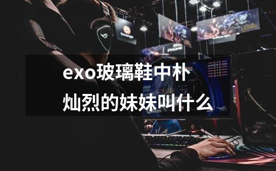 exo玻璃鞋中朴灿烈的妹妹叫什么-第1张-游戏信息-龙启网