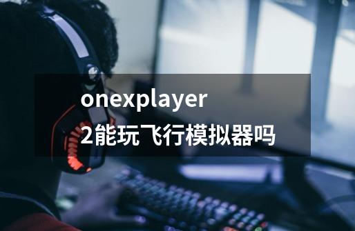 onexplayer2能玩飞行模拟器吗-第1张-游戏信息-龙启网