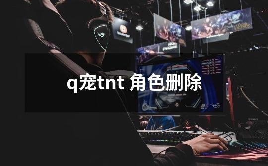 q宠tnt 角色删除-第1张-游戏信息-龙启网