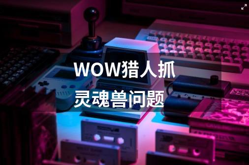 WOW猎人抓灵魂兽问题-第1张-游戏信息-龙启网