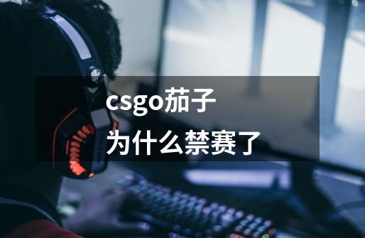 csgo茄子为什么禁赛了-第1张-游戏信息-龙启网