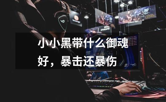 小小黑带什么御魂好,暴击还暴伤-第1张-游戏信息-龙启网