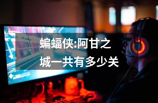 蝙蝠侠:阿甘之城一共有多少关-第1张-游戏信息-龙启网