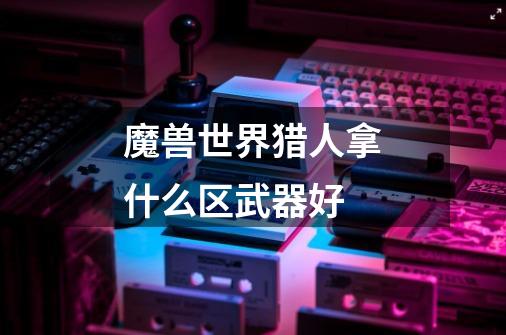 魔兽世界猎人拿什么区武器好-第1张-游戏信息-龙启网