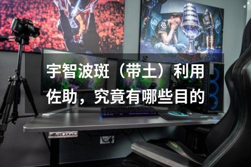 宇智波斑(带土)利用佐助,究竟有哪些目的-第1张-游戏信息-龙启网