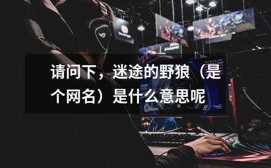 请问下，迷途的野狼（是个网名）是什么意思呢-第1张-游戏信息-龙启网