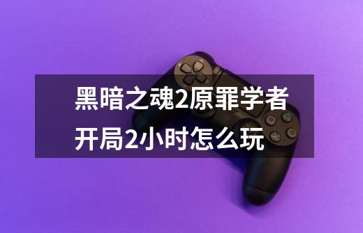 黑暗之魂2原罪学者开局2小时怎么玩-第1张-游戏信息-龙启网