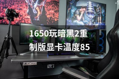 1650玩暗黑2重制版显卡温度85-第1张-游戏信息-龙启网