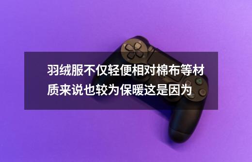 羽绒服不仅轻便相对棉布等材质来说也较为保暖这是因为-第1张-游戏信息-龙启网