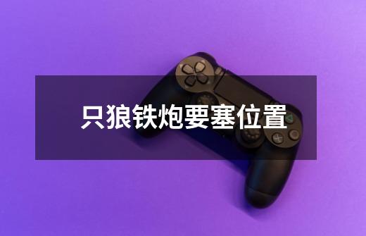 只狼铁炮要塞位置-第1张-游戏信息-龙启网