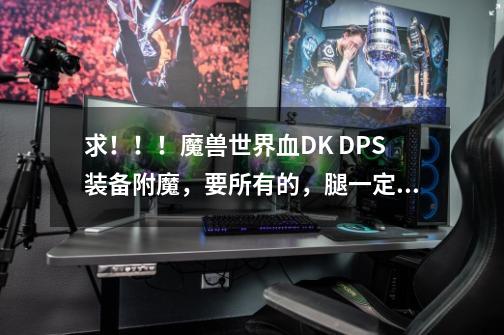 求!!!魔兽世界血DK DPS装备附魔,要所有的,腿一定要有!-第1张-游戏信息-龙启网