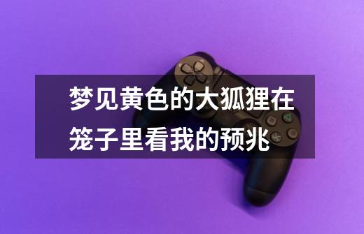梦见黄色的大狐狸在笼子里看我的预兆-第1张-游戏信息-龙启网