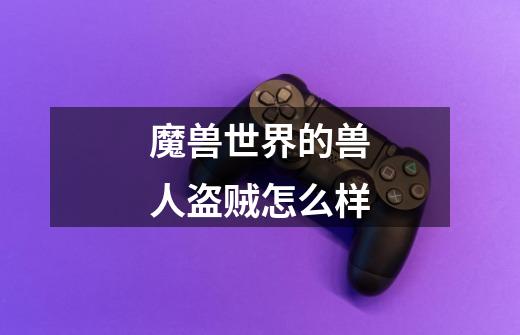 魔兽世界的兽人盗贼怎么样-第1张-游戏信息-龙启网
