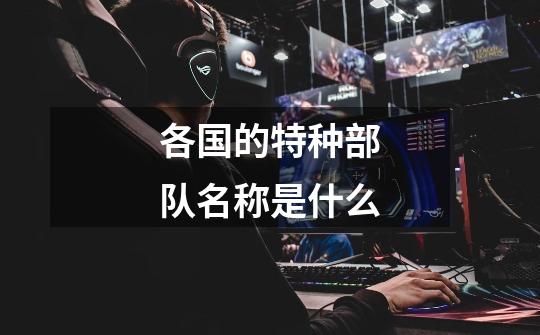各国的特种部队名称是什么-第1张-游戏信息-龙启网