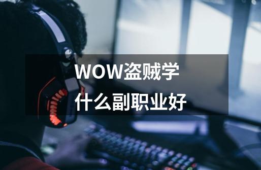 WOW盗贼学什么副职业好-第1张-游戏信息-龙启网