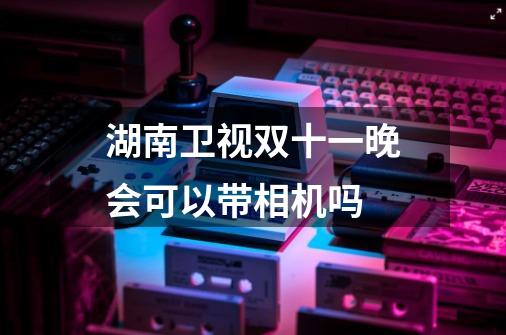 湖南卫视双十一晚会可以带相机吗-第1张-游戏信息-龙启网