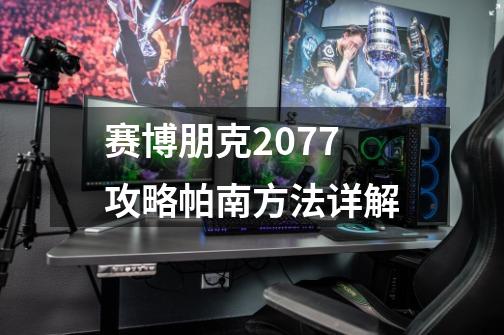 赛博朋克2077攻略帕南方法详解-第1张-游戏信息-龙启网