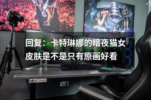 回复：卡特琳娜的暗夜猫女皮肤是不是只有原画好看-第1张-游戏信息-龙启网