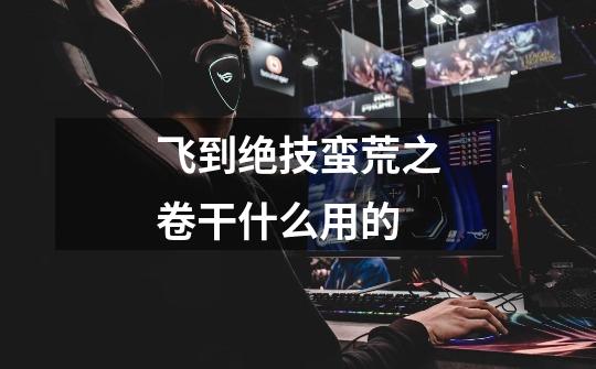 飞到绝技蛮荒之卷干什么用的-第1张-游戏信息-龙启网