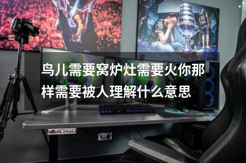 鸟儿需要窝炉灶需要火你那样需要被人理解什么意思-第1张-游戏信息-龙启网