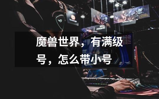 魔兽世界,有满级号,怎么带小号-第1张-游戏信息-龙启网