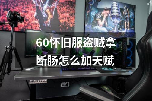 60怀旧服盗贼拿断肠怎么加天赋-第1张-游戏信息-龙启网