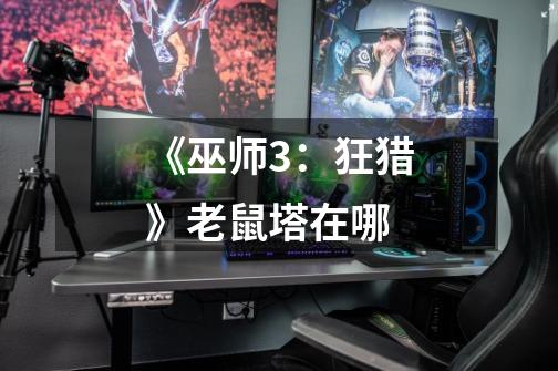 《巫师3:狂猎》老鼠塔在哪-第1张-游戏信息-龙启网