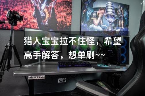 猎人宝宝拉不住怪,希望高手解答,想单刷~~-第1张-游戏信息-龙启网