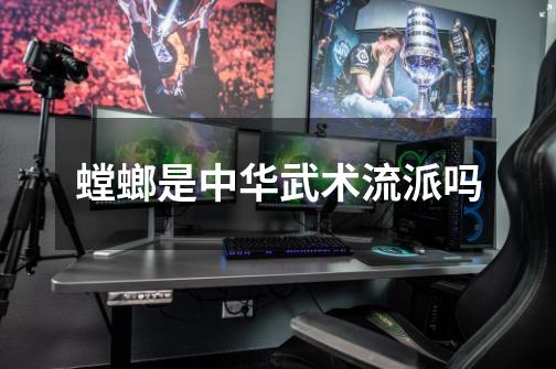 螳螂是中华武术流派吗-第1张-游戏信息-龙启网