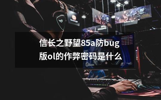 信长之野望85a防bug版ol的作弊密码是什么-第1张-游戏信息-龙启网