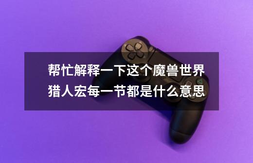 帮忙解释一下这个魔兽世界猎人宏每一节都是什么意思-第1张-游戏信息-龙启网