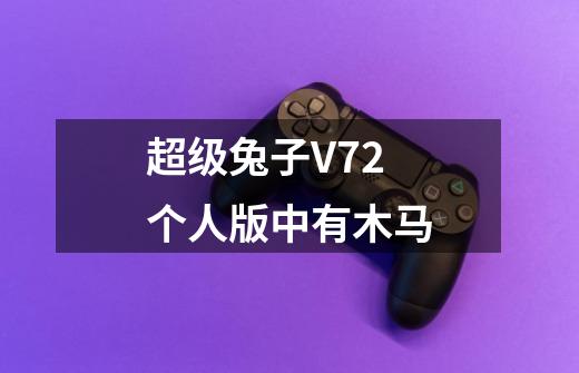 超级兔子V7.2个人版中有木马-第1张-游戏信息-龙启网