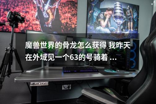 魔兽世界的骨龙怎么获得 我昨天在外域见一个63的号骑着 怎么弄的啊-第1张-游戏信息-龙启网