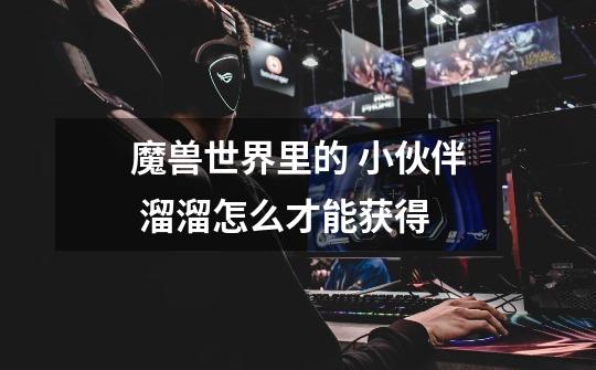 魔兽世界里的 小伙伴 溜溜怎么才能获得-第1张-游戏信息-龙启网