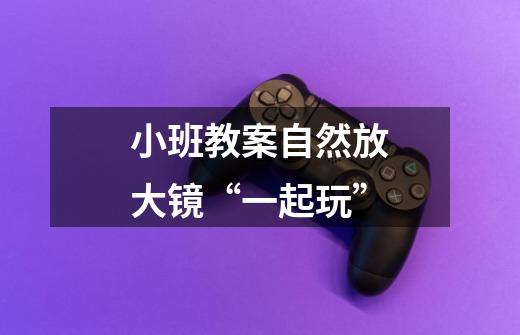 小班教案自然放大镜“一起玩”-第1张-游戏信息-龙启网