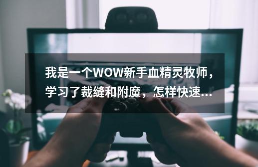 我是一个WOW新手血精灵牧师,学习了裁缝和附魔,怎样快速冲-第1张-游戏信息-龙启网