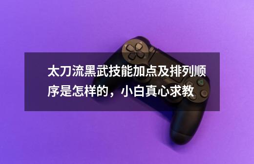 太刀流黑武技能加点及排列顺序是怎样的,小白真心求教-第1张-游戏信息-龙启网