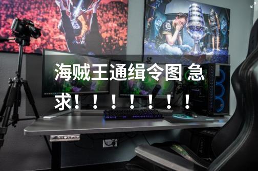 海贼王通缉令图 急求！！！！！！！-第1张-游戏信息-龙启网
