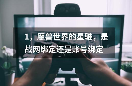 1，魔兽世界的星骓，是战网绑定还是账号绑定-第1张-游戏信息-龙启网