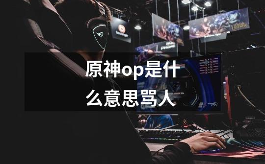 原神op是什么意思骂人-第1张-游戏信息-龙启网