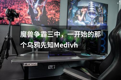 魔兽争霸三中,一开始的那个乌鸦先知Medivh-第1张-游戏信息-龙启网