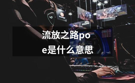 流放之路poe是什么意思-第1张-游戏信息-龙启网