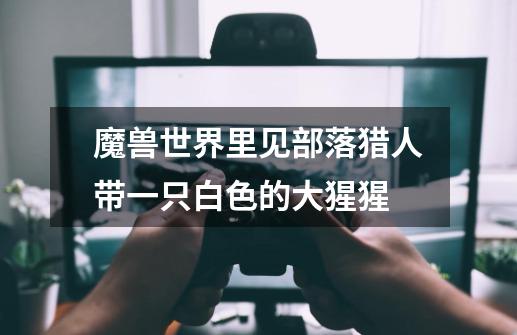 魔兽世界里见部落猎人带一只白色的大猩猩.-第1张-游戏信息-龙启网
