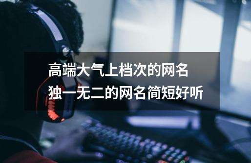 高端大气上档次的网名 独一无二的网名简短好听-第1张-游戏信息-龙启网