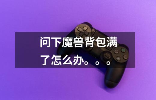 问下魔兽背包满了怎么办。。。-第1张-游戏信息-龙启网