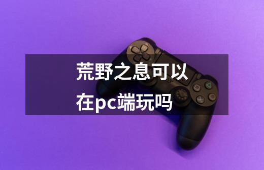 荒野之息可以在pc端玩吗-第1张-游戏信息-龙启网