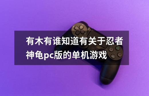 有木有谁知道有关于忍者神龟pc版的单机游戏-第1张-游戏信息-龙启网